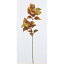 【造花】アスカ/ポプラ オ−タム/A-42713-090【01】【取寄】《 造花(アーティフィシャルフラワー) 造花枝物 モミジ・イチョウ 》