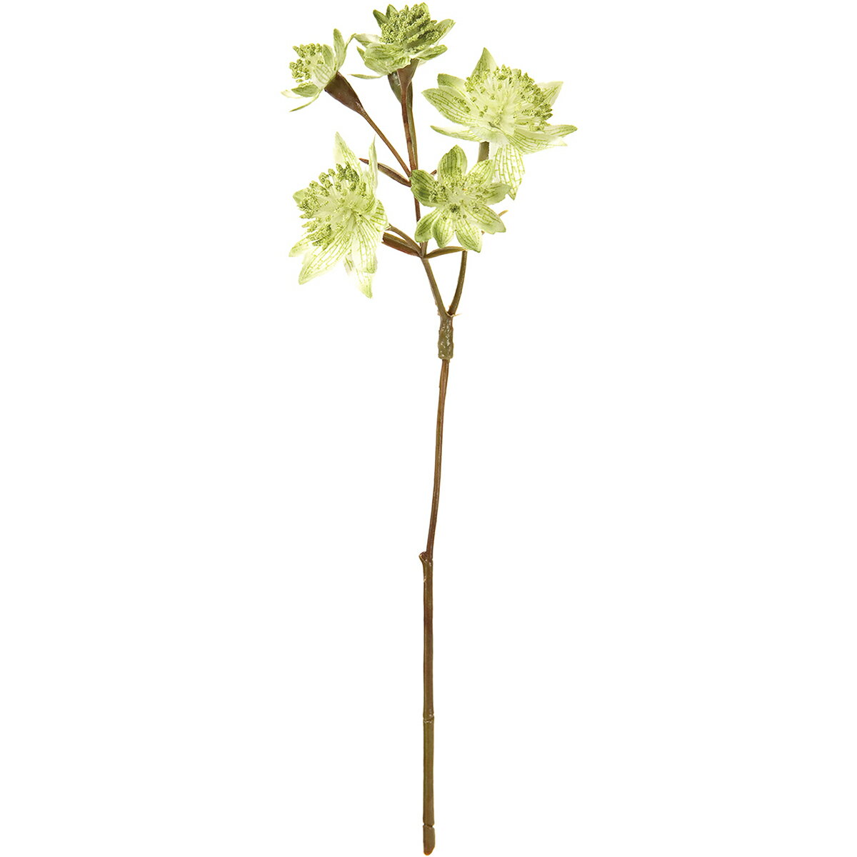 【造花】MAGIQ東京堂/カレンアストランティア ＃23 ライトグリーン/FM007670-023【01】 造花（アーティフィシャルフラワー） 造花 花材「あ行」 アストランチア