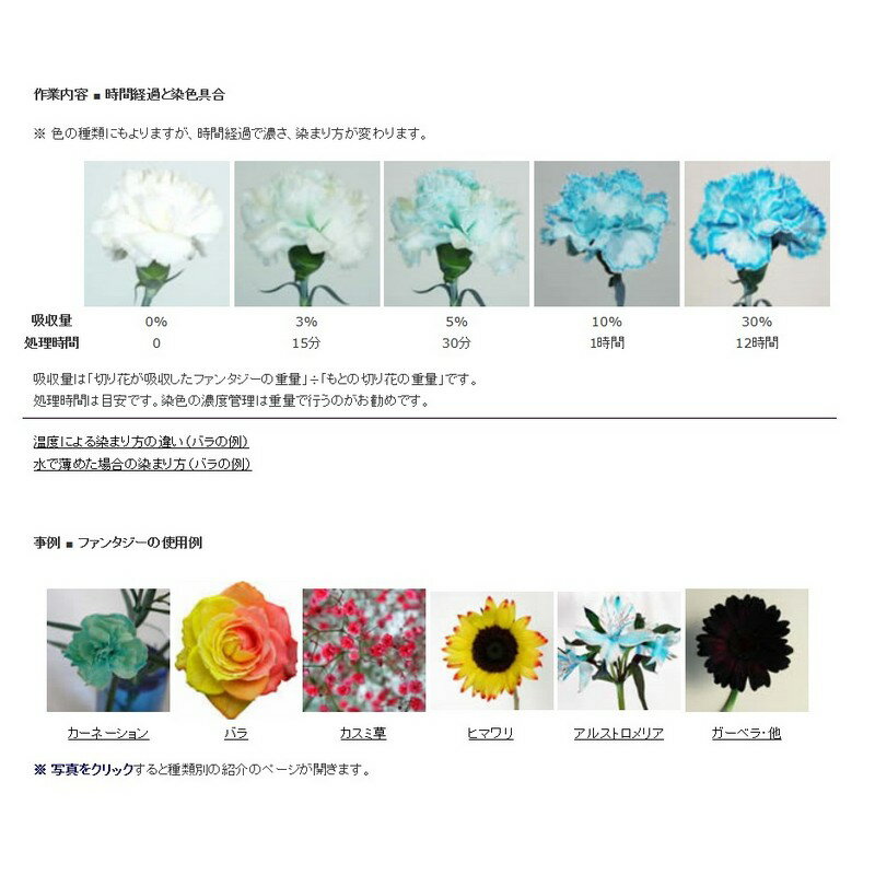 残りわずか 母の日プレゼント 生花カーネーションのフラワーギフト オレンジ系 2022A/W新作送料無料 残りわずか 母の日プレゼント 生花カーネーションのフラワーギフト オレンジ系 2022A/W新作送料無料