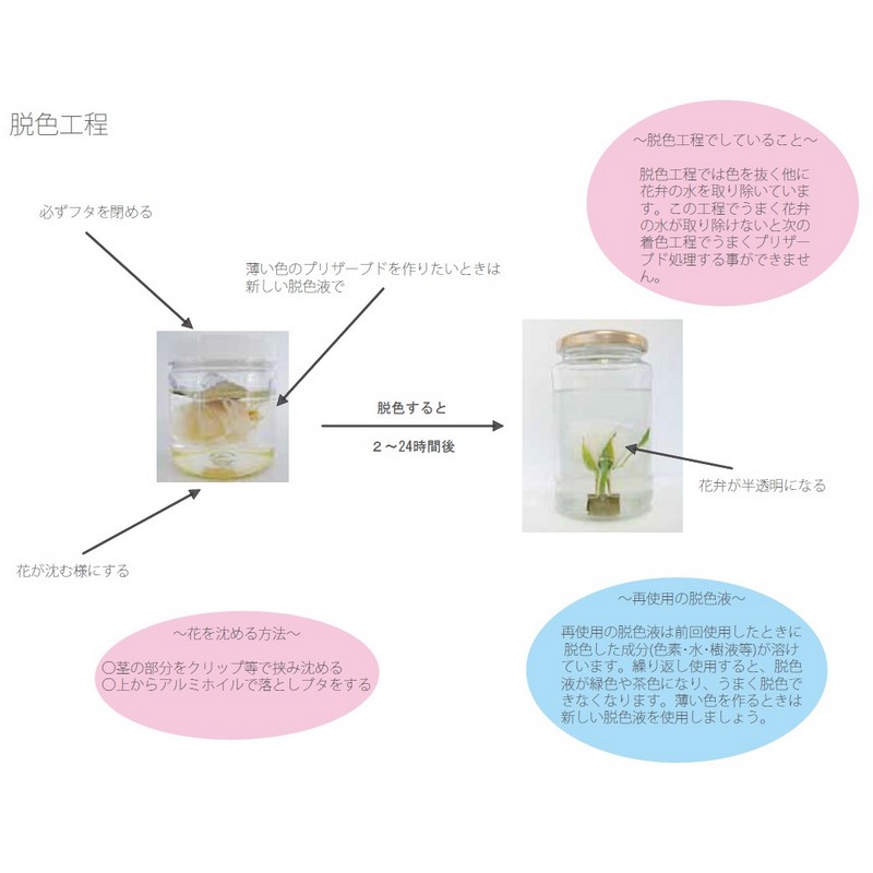 パレス化学/ミスティー着色液500mlローズレッド/【01】《花資材・道具ドライ・押し花用資材その他スプレー》