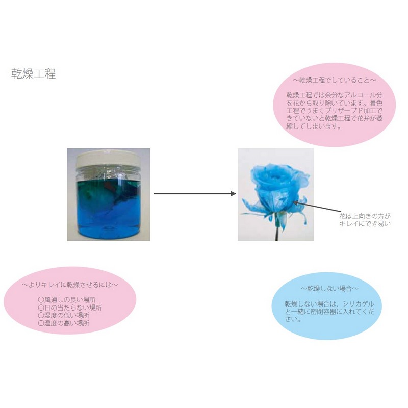 パレス化学/ミスティー着色液500mlローズレッド/【01】《花資材・道具ドライ・押し花用資材その他スプレー》