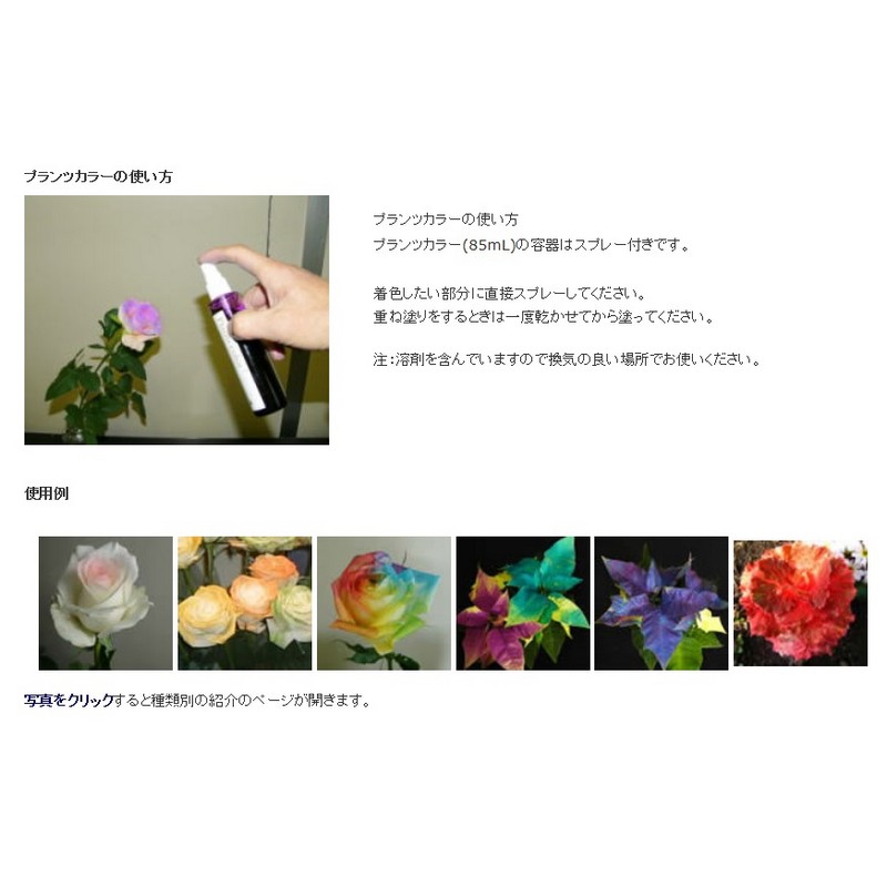 パレス化学/プランツカラー85mlブラック/【01】《花資材・道具生花用資材切花着色剤》