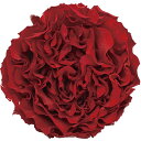 アモローサ/カルメン 3輪 ブライトレッド/1114-30 プリザーブドフラワー プリザーブドフラワー花材 バラ（ローズ）