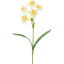 【造花】YDM/スイセン イエロー/FS-5246-Y/Y【01】【01】【取寄】《 造花(アーティフィシャルフラワー) 造花 花材「さ行」 スイセン(水仙) 》