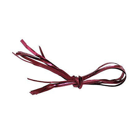 青山リボン/キャンキャン 10mm×100m/2113-18【01】 リボン 紐、コード