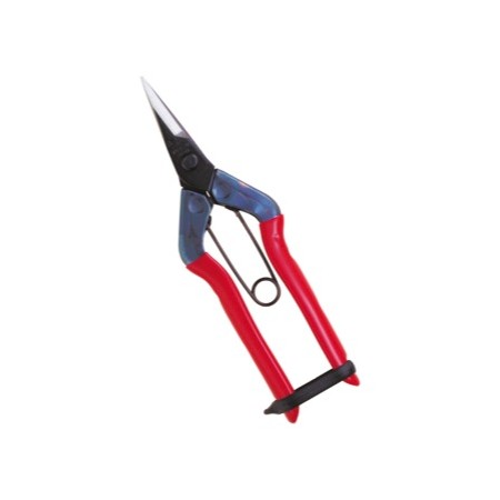 近正/摘果鋏/T-500【01】 ガーデニング・園芸用品 ツール(道具) 園芸はさみ