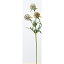 【造花】アスカ/スカビオサシード×2 NO.006G ラベンダーグリーン/A-33350-6【01】【取寄】《 造花(アーティフィシャルフラワー) 造花 花材「さ行」 スカビオサ 》