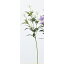 【造花】アスカ/キキョウ×6 つぼみ×2 NO.001 ホワイト/A-33289-1【01】【取寄】《 造花(アーティフィシャルフラワー) 造花 花材「か行」 キキョウ(桔梗) 》