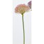 【造花】アスカ/アリウムピック #003 ピンク/A-33395-3【01】【取寄】造花(アーティフィシャルフラワー) 造花 花材「あ行」 アリウム 手作り 材料