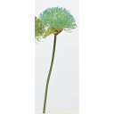 【造花】アスカ/アリウムピック ＃051T ターコイズ/A-33395-151【01】【取寄】 造花（アーティフィシャルフラワー） 造花 花材「あ行」 アリウム