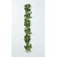 【造花】アスカ/ミックスゼラニウムガーランド ＃051G グリーンレッド/A-42877-51【01】【取寄】 造花（アーティフィシャルフラワー） 造花葉物、フェイクグリーン その他の造花葉物・フェイクグリーン