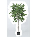 【直送】【人工観葉植物】アスカ/ジャイアントツリー #051A グリーン/A-50914-51※返品・代引不可【01】 造花(アーティフィシャルフラワー) 造花...