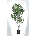 【直送】【人工観葉植物】アスカ/ローレルツリー #051A グリーン/A-50912-51※返品・代引不可【01】 造花(アーティフィシャルフラワー) 造花葉物...