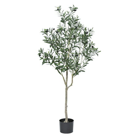 【直送】【人工観葉植物】アスカ/オリーブ（ポット付） ＃044 ナチュラル/A-50902-44※返品代引不可【01..