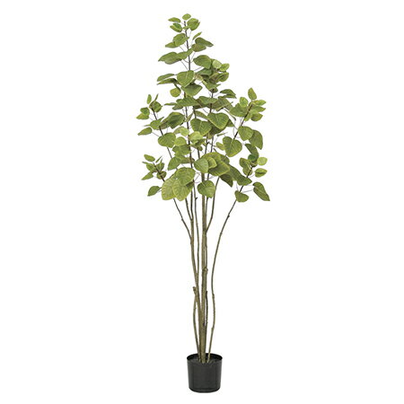 【直送】【人工観葉植物】アスカ/スモークツリー（ポット付） ＃052B ライトグリーン/A-50897-52※返品..