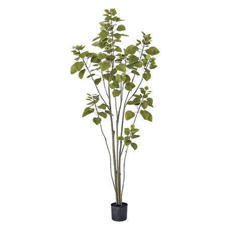【直送】【人工観葉植物】アスカ/スモークツリー（ポット付） ＃052B ライトグリーン/A-50898-52※返品..