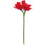 【造花】YDM/アマリリス レッド/FA-7161-R【01】【取寄】《 造花(アーティフィシャルフラワー) 造花 花材「あ行」 アマリリス 》