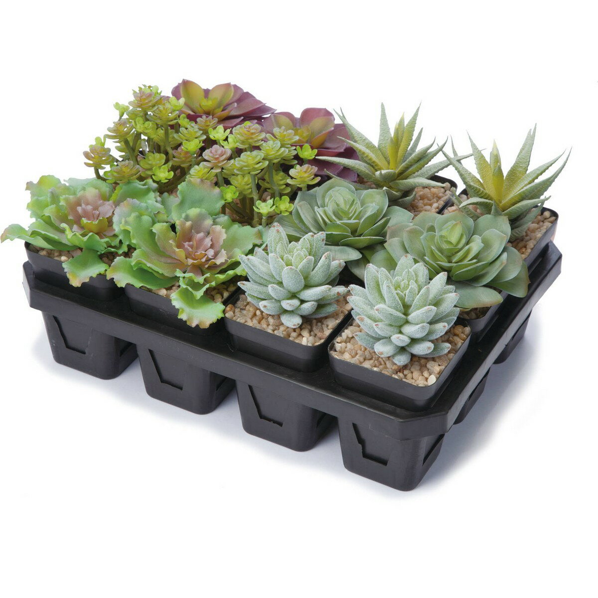 ֺΤϤʤɤ䥢㤨֡ڿ͹տʪYDM/¿ݥå6AST  6Τ줫1ġӤޤ/GLA-1429-AST01 ¤֡ʥƥեե ¤ʪ ܥƥפβǤʤ400ߤˤʤޤ