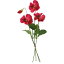 即日 【造花】YDM/パンジーバンドル ダークレッド/FS-7849-D/R造花(アーティフィシャルフラワー) 造花 花材「あ行」 アネモネ 手作り 材料