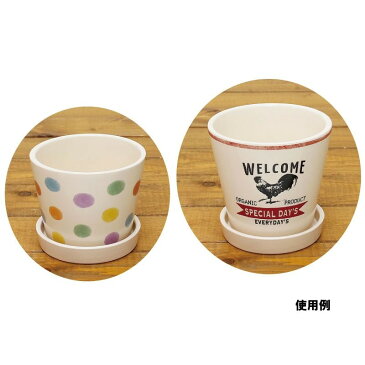 丸和貿易/ビアンコット トレー/400841100【01】【取寄】《 花器、リース 花器・花瓶 陶器花器 》