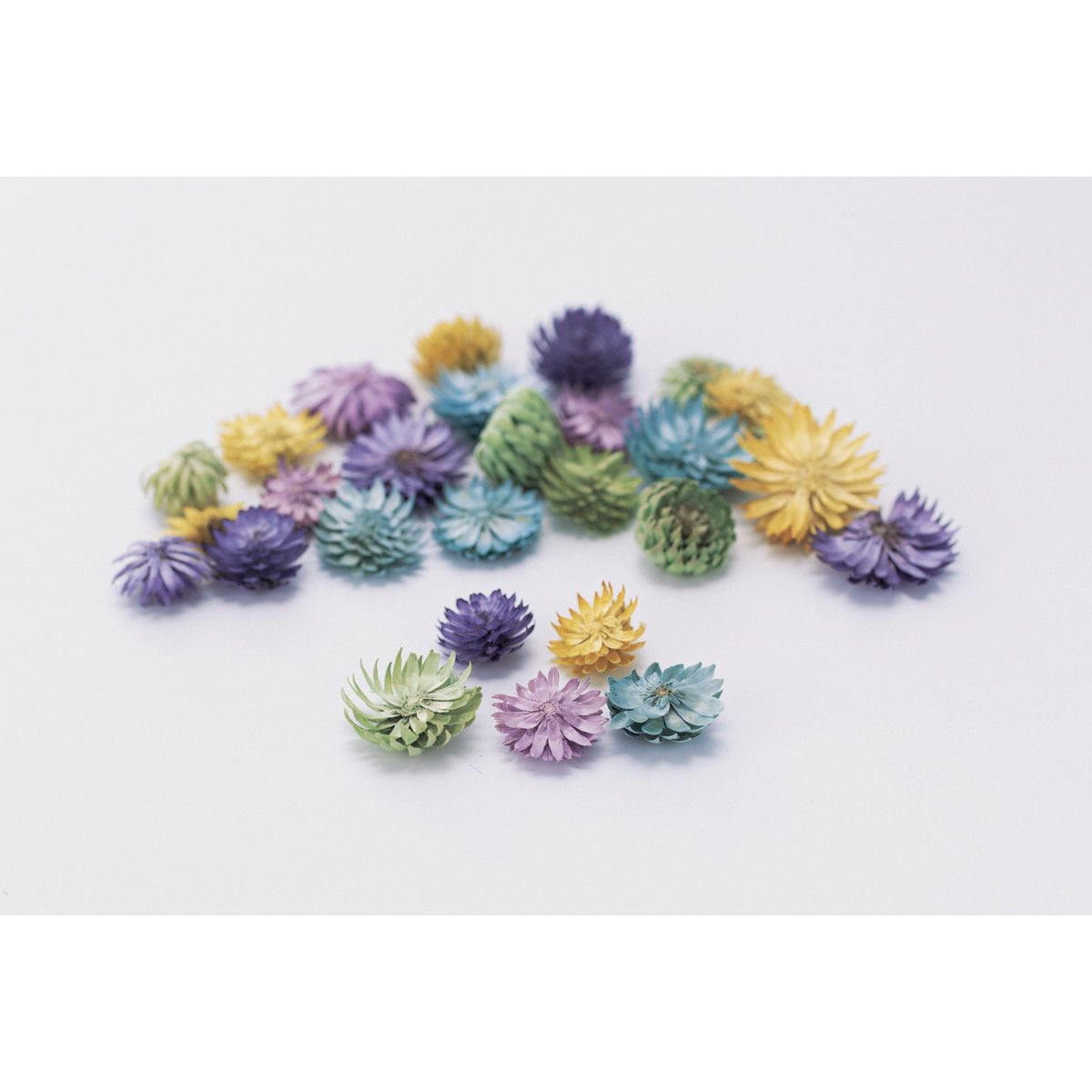 【ドライ】【小分け】大地農園/チーゼルフラワー パープルmix 1/3袋 /33000-440【10】 ドライフラワー ドライ実物＆フルーツ 松かさ、から松