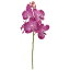 【造花】東京堂(MAGIQ)/ソフィアバンダ #12 ORCHID/FM001292-012【01】【取寄】《 造花(アーティフィシャルフラワー) 造花 花材「ら行」 ラン(蘭)・オーキッド 》