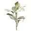 【造花】サンセイ/PFD-18セシル　#55　グリーン/600088【10】【取寄】 造花（アーティフィシャルフラワー） 造花葉物、フェイクグリーン その他の造花葉物・フェイクグリーン