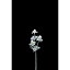 【造花】アスカ/エリンジウム×3/AX69301【01】【取寄】《 造花(アーティフィシャルフラワー) 造花 花材「あ行」 エリンジューム 》