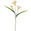 【造花】YDM/スイセン/FS-5293W/O【01】【取寄】《 造花(アーティフィシャルフラワー) 造花 花材「さ行」 スイセン(水仙) 》