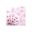 kinari/国産アロマオイル 桜 100ml /armj017-100ml【01】【取寄】 キャンドル材料 キャンドル香料