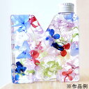 NAMEW(ネイミュー)/イニシャルハーバリウム用 アルファベットPETボトル ≪M≫ 342ml【07】 ハーバリウム 瓶・ボトル PETボトル