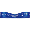 東京リボン/サマーV・エクセル12 12mm×19m #49/17702-49【01】 リボン シーズナルリボン サマーバレンタイン