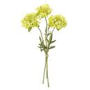 【造花】MAGIQ東京堂/フリンジスカビオサ #4 イエローグリーン/FM009378-004【01】 造花(アーティフィシャルフラワー) 造花 花材「さ行」 スカビオサ