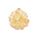 東京リボン/クリップカーネーション2/20 NO.021ピンク/36-92930-21【01】 ラッピング用品 、梱包資材 メッセージカード カード立て