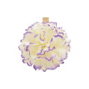 東京リボン/クリップカーネーション2/20 NO.024パープル/36-92930-24【01】 ラッピング用品 、梱包資材 メッセージカード カード立て