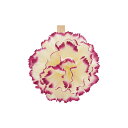 東京リボン/クリップカーネーション2/20 NO.025ワイン/36-92930-25【01】 ラッピング用品 、梱包資材 メッセージカード カード立て