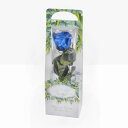 【プリザーブド】フロールエバー/ショートステムローズ メッセージ ユーカリ グランブルー/FL072021-12【01】 プリザーブドフラワー プリザーブドフラワーギフト バラ1輪(4)