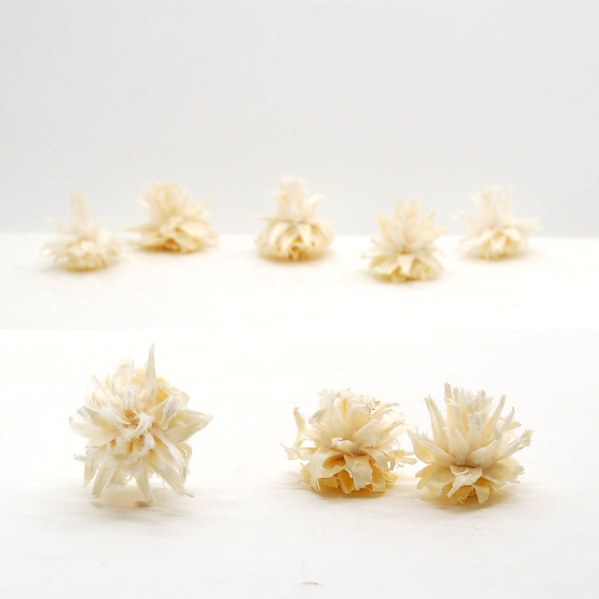 【ドライ】コアトレーディング/スターコーンヘッド 約50g サラシ/10307【10】 ドライフラワー ドライ実物＆フルーツ 松かさ、から松