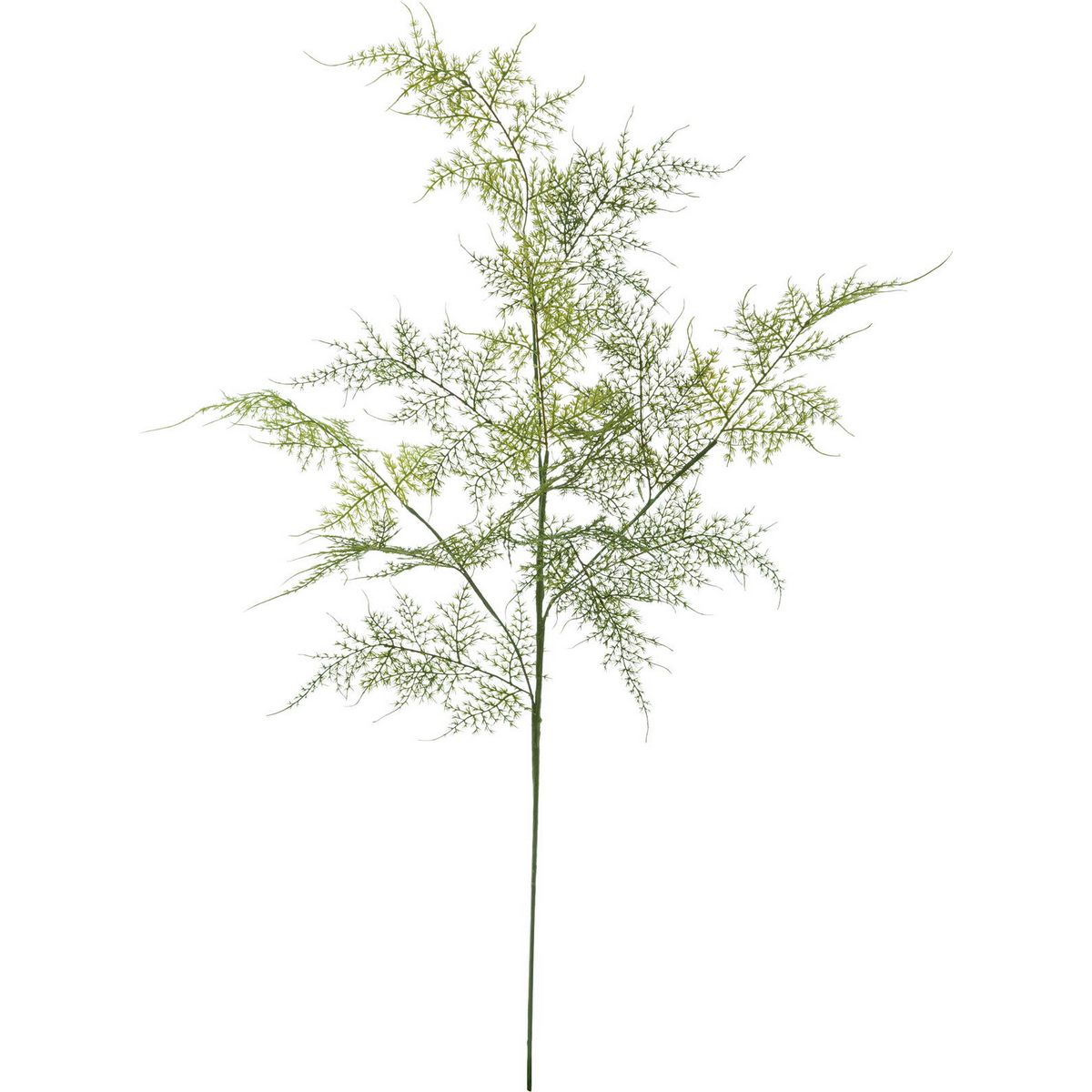 【造花】YDM/アスパラペラスプレー グリーン/FG-4952-GR【01】 造花（アーティフィシャルフラワー） 造花葉物、フェイクグリーン ファーン