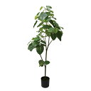 【直送】【人工観葉植物】YDM/ウンベラータ/GLP-1512 ※返品・代引・キャンセル不可【07】 造花(アーティフィシャルフラワー) 造花葉物 造花・人工観...