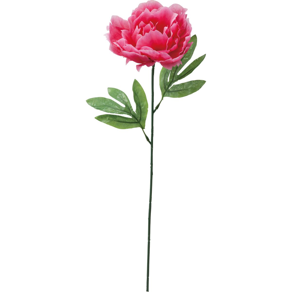 【造花】YDM/シングルピオニー ビューティー/FF-2933-BTY【01】【取寄】《 造花（アーティフィシャルフラワー） 造花 花材「さ行」 シャクヤク（芍薬）・ボタン（牡丹）・ピオニー 》