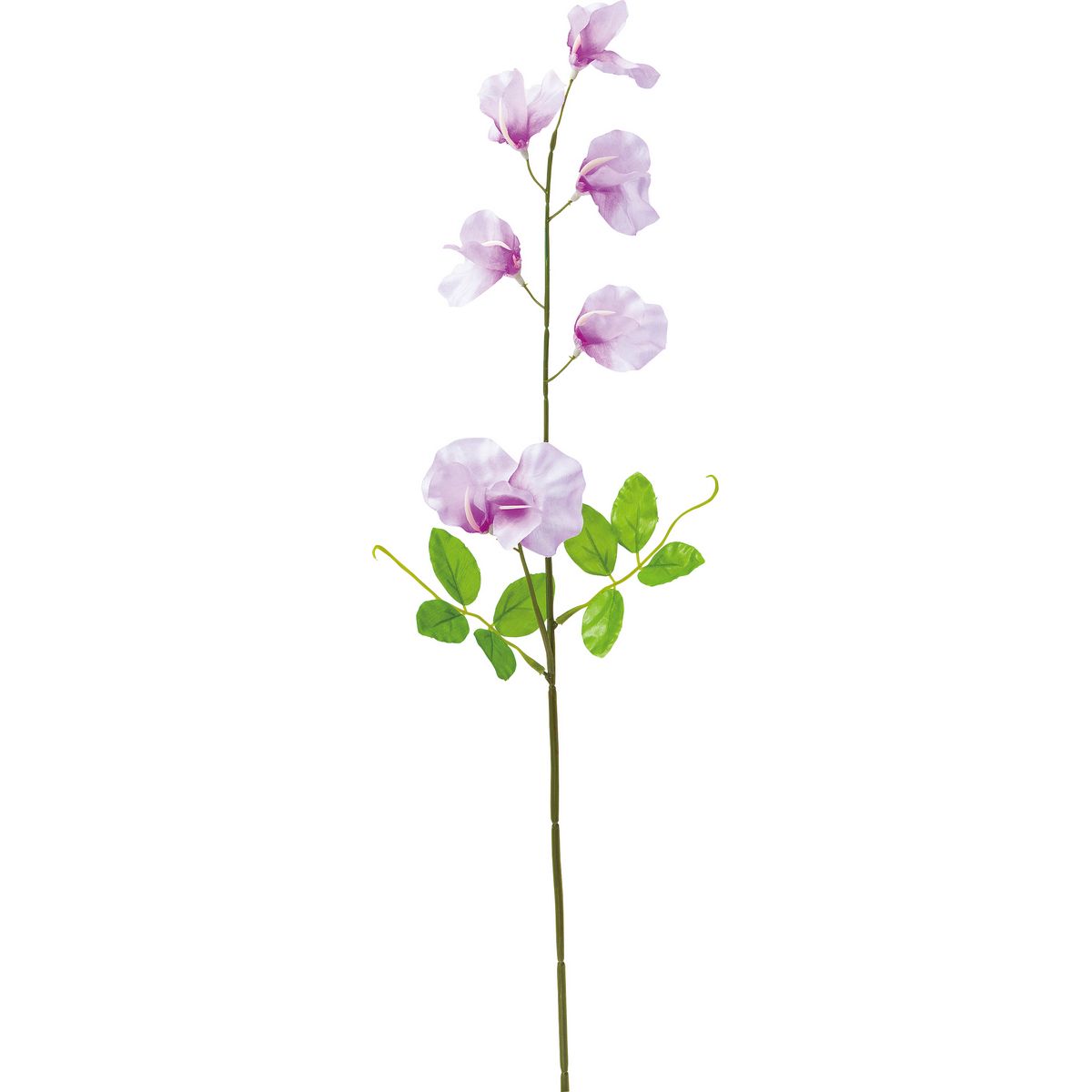 【造花】YDM/スイートピー ラベンダー/FS-7893-LAV【01】【取寄】 造花（アーティフィシャルフラワー） 造花 花材「さ行」 スイトピー