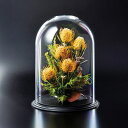 LEOタカオカ/Polycarbonate series/F-2385【01】 花器、リース 花器・花瓶 ポリカーボネート
