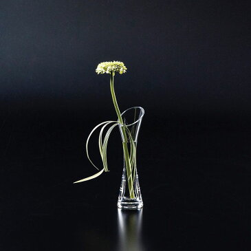 LEO/F−2412【01】【取寄】花器、リース 花器・花瓶 プラスチック・アクリル花器 手作り 材料