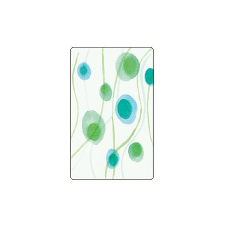 LittleGarden/IC− ƥ 5/xic0200501ۡڼ[20]  ʸ˼ ¾