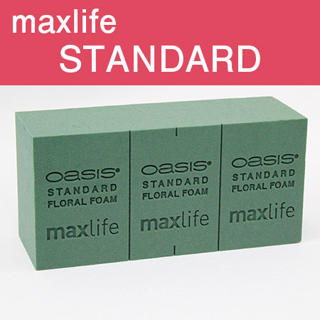 オアシス/スタンダードmaxlife　1ブリック売り【01】【取寄】 花資材・フローリスト道具 フローラルフォーム(オアシス) 生花用ブリック