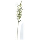 【造花】アスカ/ソリダゴ #053A クリームグリーン/A-43268-53A【01】 造花(アーティフィシャルフラワー) 造花 花材「さ行」 その他「さ行」造花花材