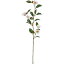 【造花】YDM/ヤブツバキブランチ/FS-5326-W【01】【取寄】造花(アーティフィシャルフラワー) 造花 花材「た行」 ツバキ(椿) 手作り 材料