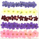 【ドライ】押し花 バーベナ 40輪 ミックス/1-121M【07】 ドライフラワー 押し花