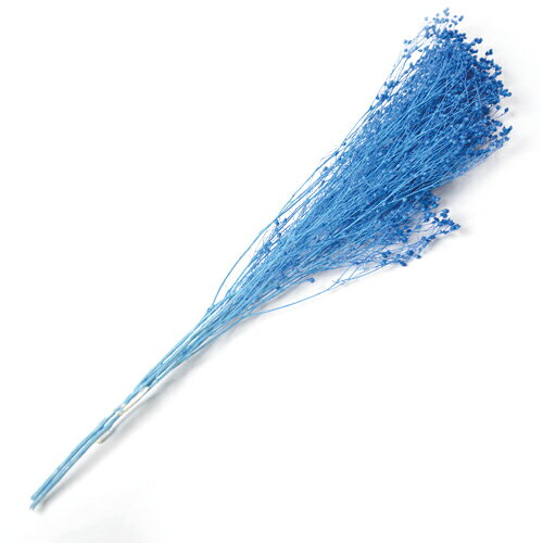 【サイズ】1束(約20g)、長さ約45cm【ブランド】フロールエバー-・プリザーブドフラワーは染料の染みや漏れが発生する場合があります。ご使用時も色移りにご注意ください。・自然素材につき色の吸い上げや着色には個体差があり、入荷により色目やサイズが多少異なる場合があります。・商品により個体差がありますが、プリザーブド薬液独特のにおいが強く感じられる場合があります。・亀裂や欠け等に関しましては、必要に応じて修復してご利用ください。【はなどんやお取り扱い商品について】■はなどんや掲載商品には、在庫品とメーカーお取寄商品がございます。掲載納期をご参考にされて下さい。即日発送の納期が記載されている商品でも、当店在庫が欠品となった場合には、お取り寄せにてご手配を進めさせていただきます。※コンビニ支払い・銀行振込等、前払い決済でのご注文については即日発送の対象外となります。■他店舗でも販売をしているため、また、メーカーの実在庫欠品等によりご注文後にご用意ができなくなる場合がございます。その場合にはメールにてご案内をさせて頂きます。■分納は承っておりません。一番遅い納期の商品に合わせて発送となります。/【VAR：9159】4543567832159/20180626new/bk-3006プリザーブドフラワー プリザーブドフラワー花材 か行 小花花材 ハンドメイド材料 クラフト素材 夏 お供え クリスマス ハロウィン ブライダル/【フロールエバー】